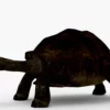Galapagos Tortoise 3D Model Free Download 3D Model Creature Guard 17