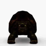 galapagos tortoise 3d model_(4)