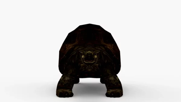 Galapagos Tortoise 3D Model Free Download 3D Model Creature Guard 6