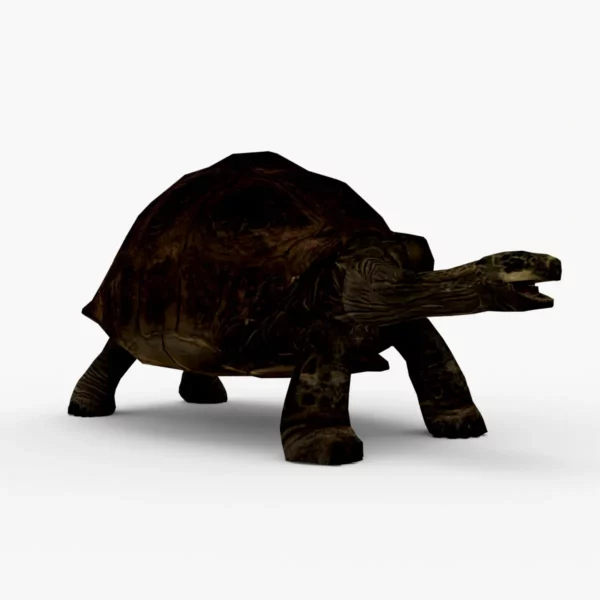 Galapagos Tortoise 3D Model Free Download 3D Model Creature Guard