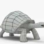 galapagos tortoise 3d model_(8)