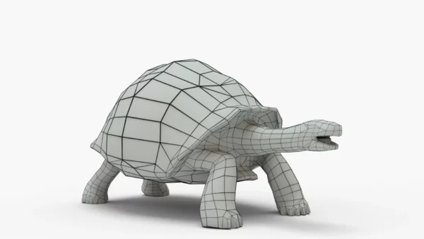 Galapagos Tortoise 3D Model Free Download 3D Model Creature Guard 8