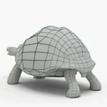 galapagos tortoise 3d model_(9)