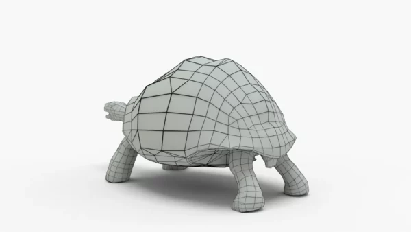 Galapagos Tortoise 3D Model Free Download 3D Model Creature Guard 10