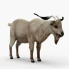 Goat 3D Model Free Download 3D Model Creature Guard 12