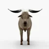 Goat 3D Model Free Download 3D Model Creature Guard 13