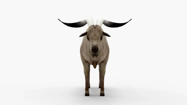 Goat 3D Model Free Download 3D Model Creature Guard 3