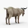 Goat 3D Model Free Download 3D Model Creature Guard 15