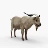 Goat 3D Model Free Download 3D Model Creature Guard 11