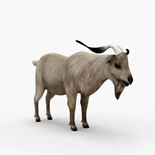 Goat 3D Model Free Download 3D Model Creature Guard