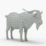 goat 3d model_(8)