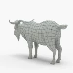 goat 3d model_(9)