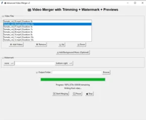 Video Merger Pro