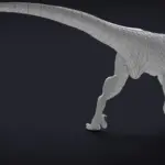 Atrociraptor Rigged Basemesh 3D Model